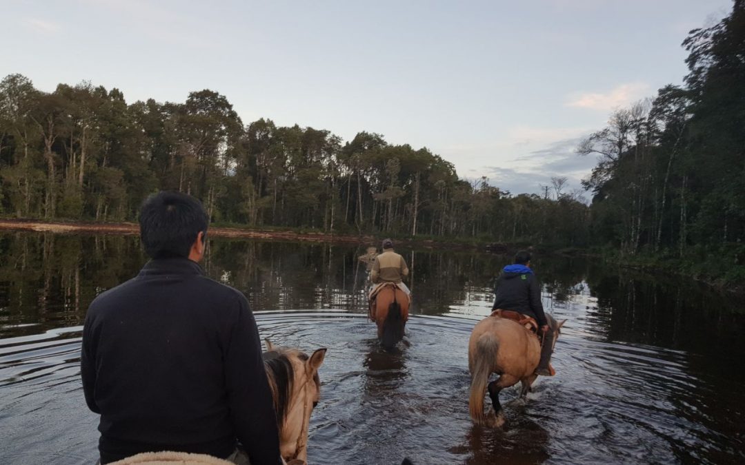 Cabalgatas