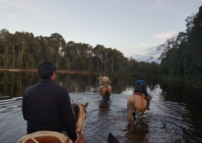 Horse Riding
