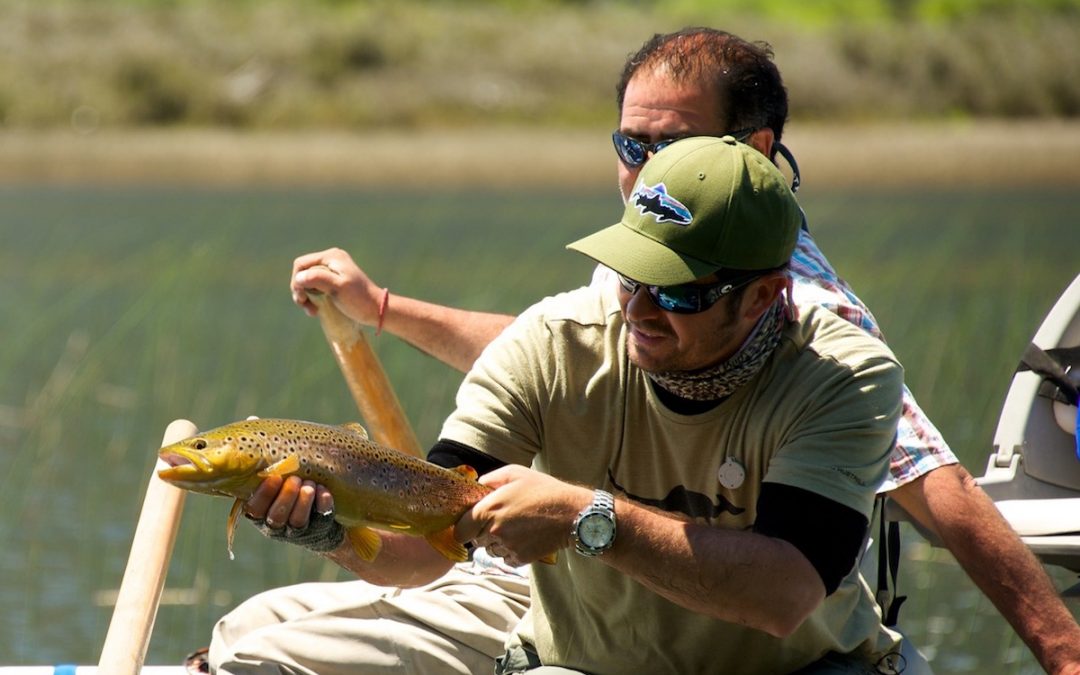Pesca con mosca y en el mar