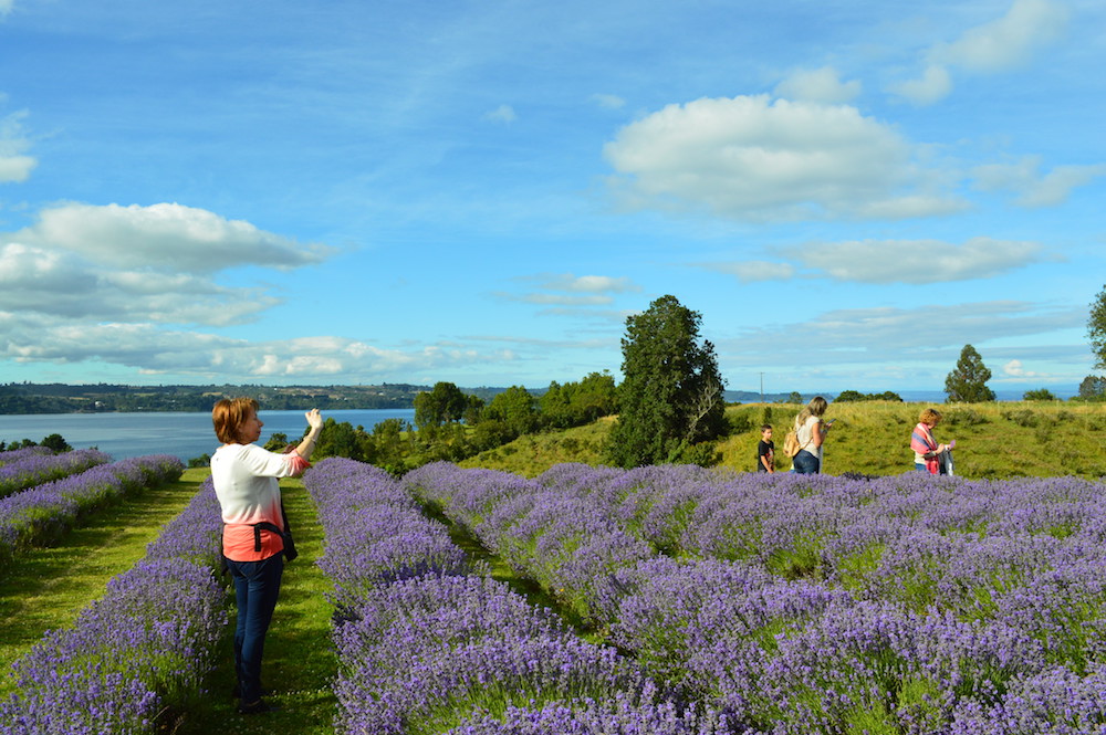 Puerto Octay – Los Bajos – Frutillar – Llanquihue